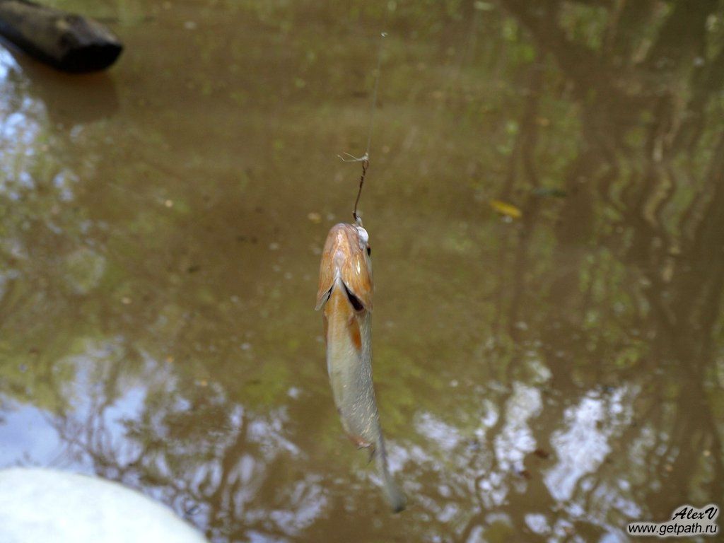 colombia_2011-03-26_08-43-59.jpg