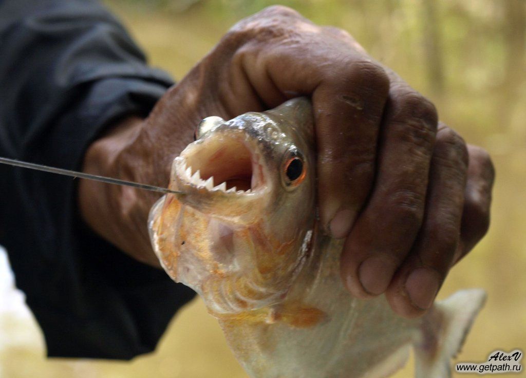 colombia_2011-03-26_08-44-40.jpg