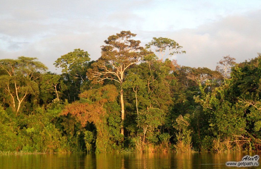 colombia_2011-03-26_05-59-28.jpg