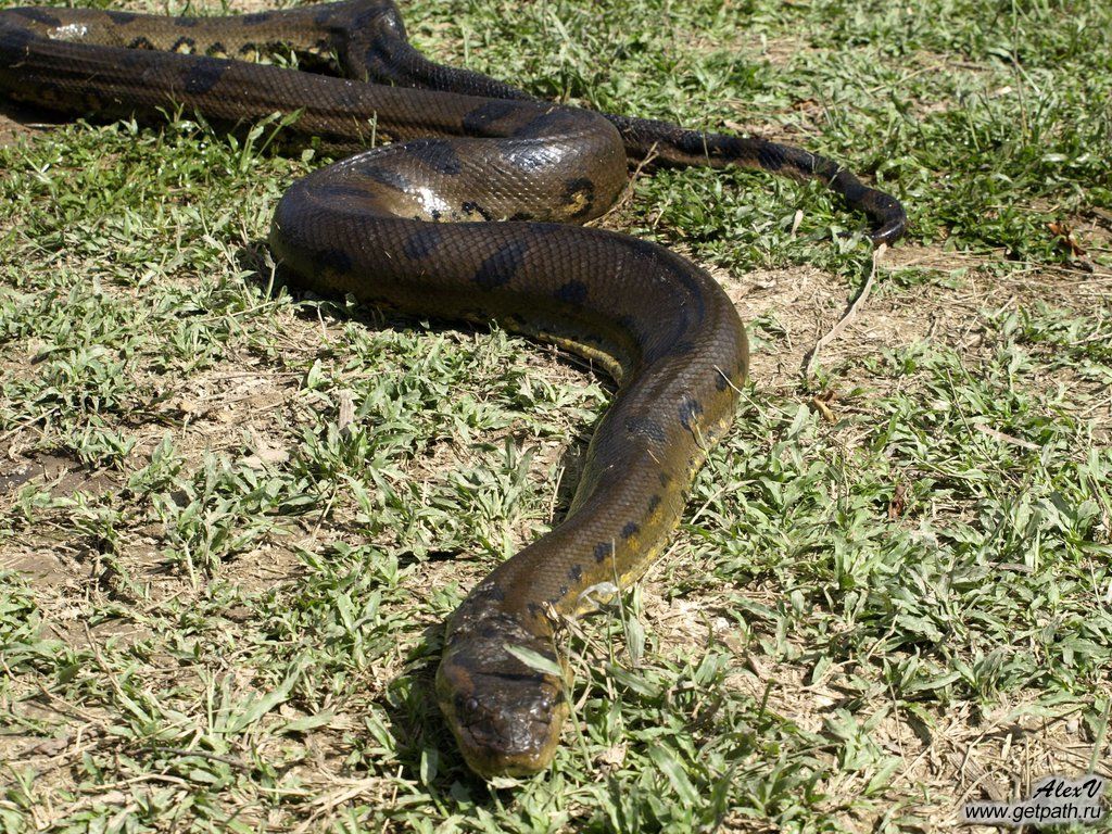 colombia_2011-03-26_14-22-59.jpg