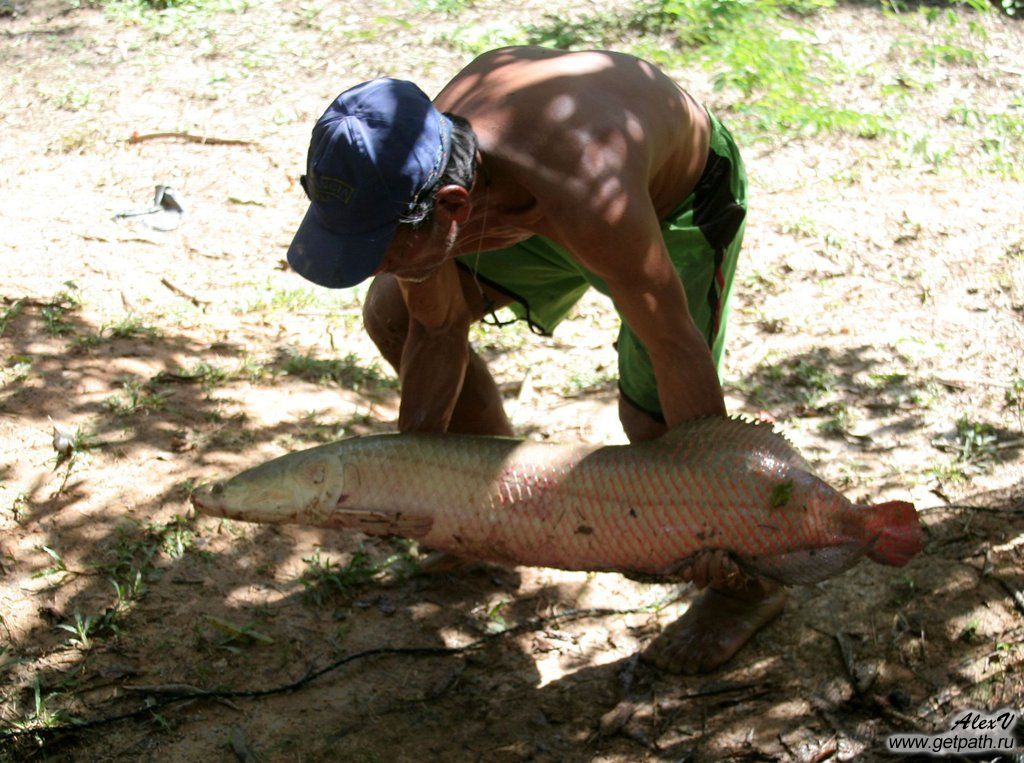 colombia_2011-03-26_14-34-11.jpg