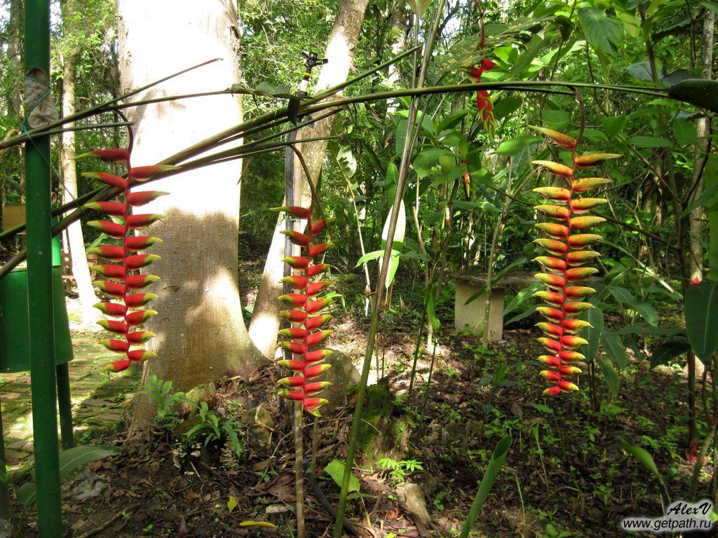 Colombia_2011-03-29_08-24-45.JPG