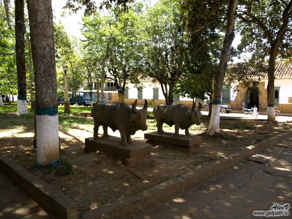 Colombia_2011-03-29_10-52-38.JPG