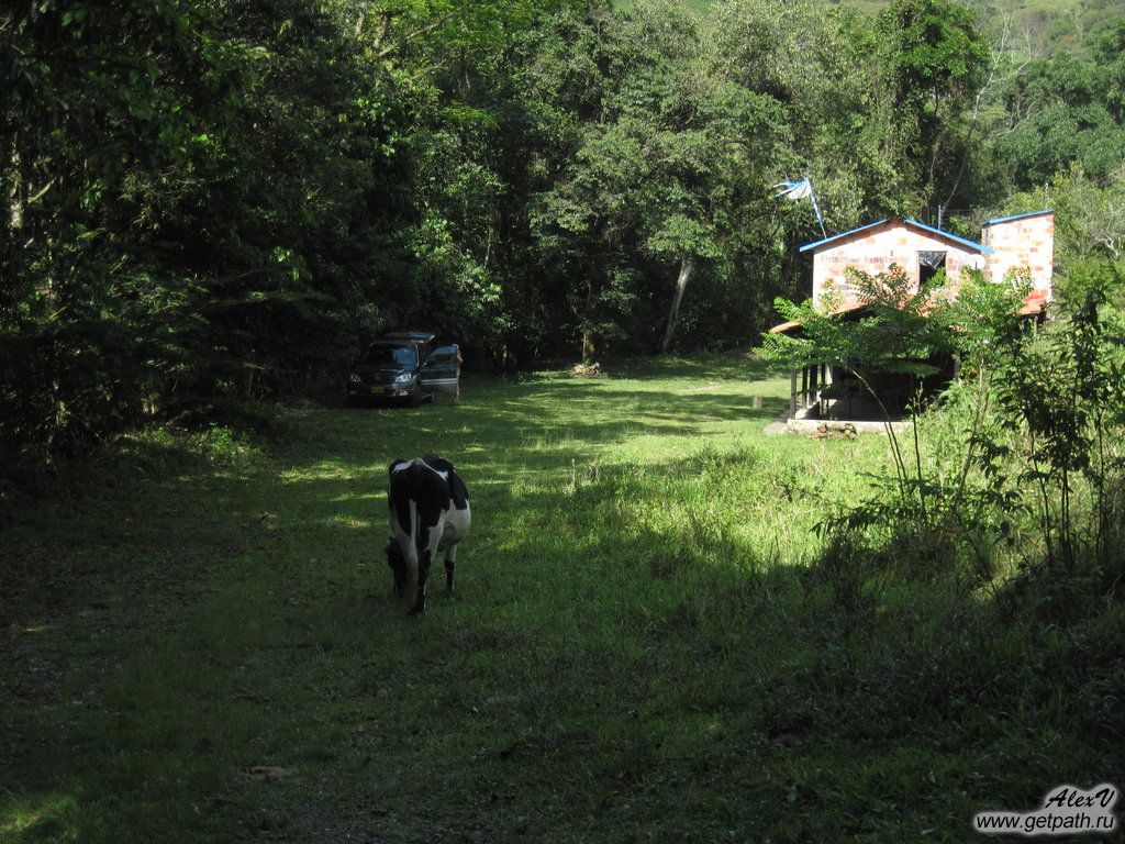 Colombia_2011-03-29_14-59-37.JPG