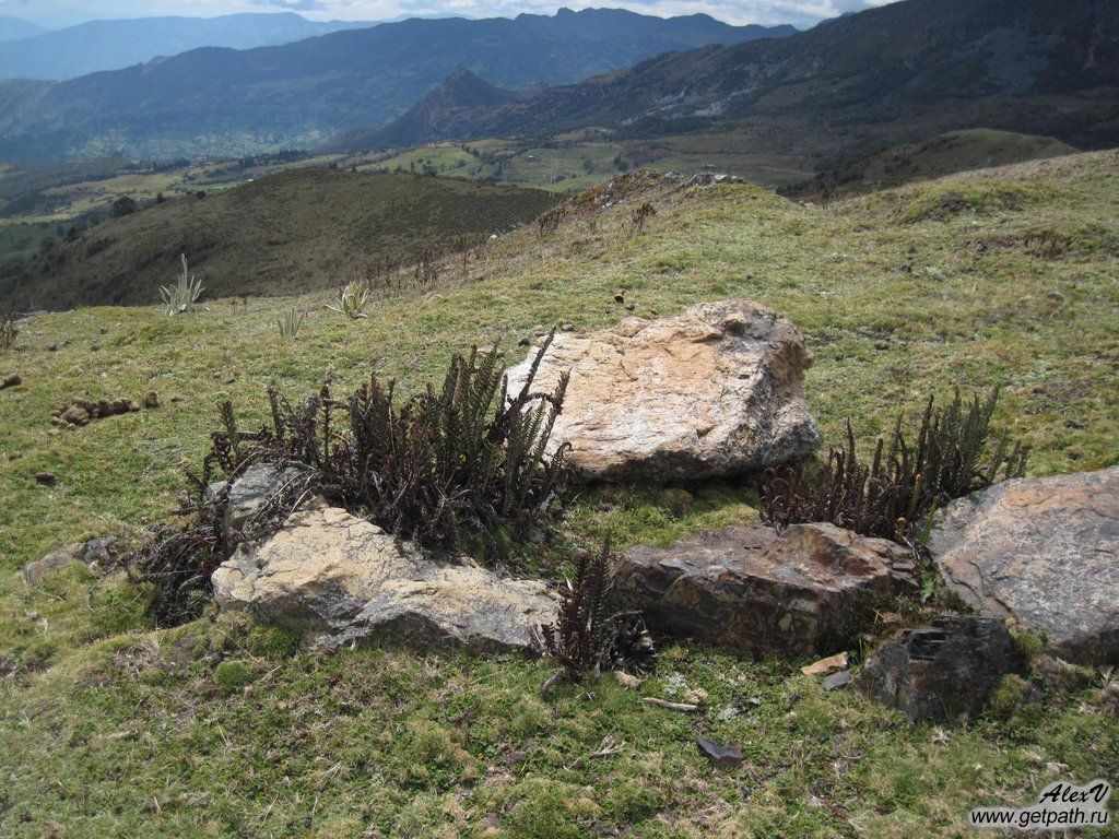 Colombia_2011-03-30_13-34-02.JPG