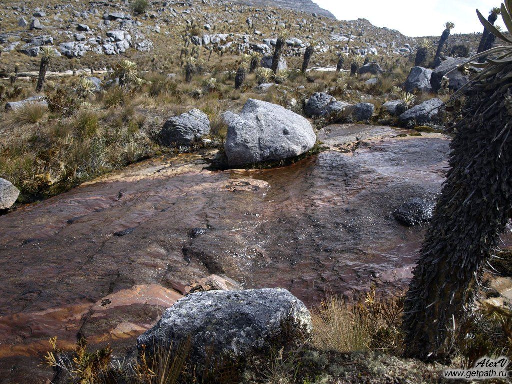 Colombia_2011-03-31_10-18-33.JPG