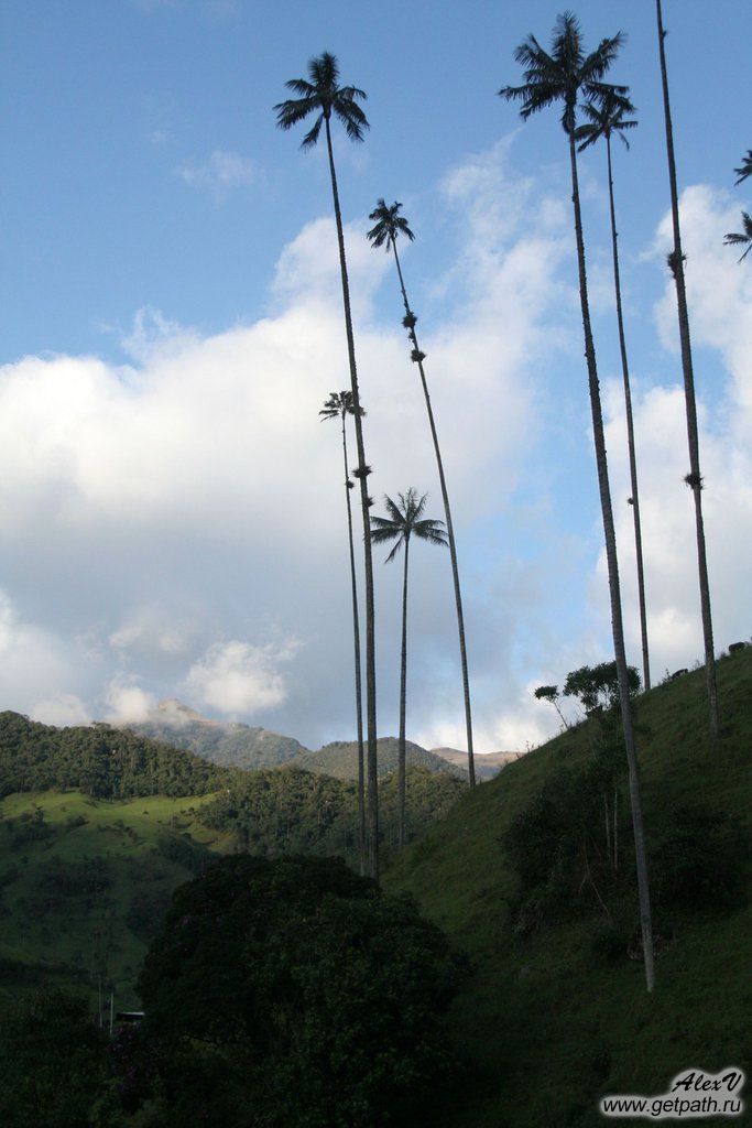 Colombia_2011-04-02_17-26-50.JPG