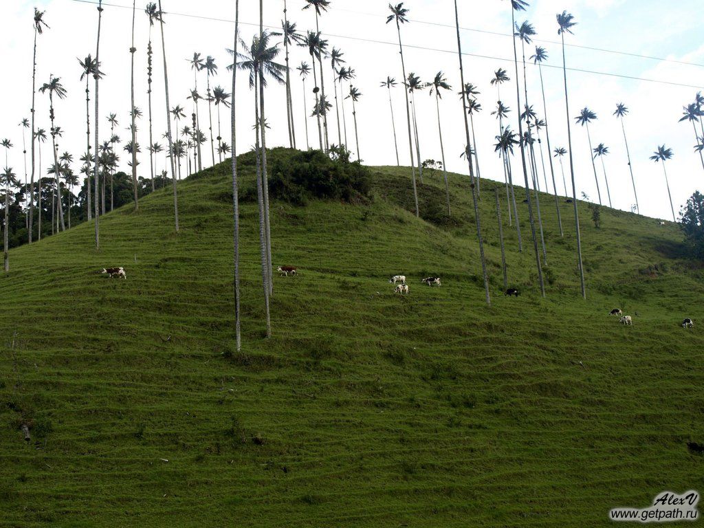 Colombia_2011-04-02_17-31-14.JPG