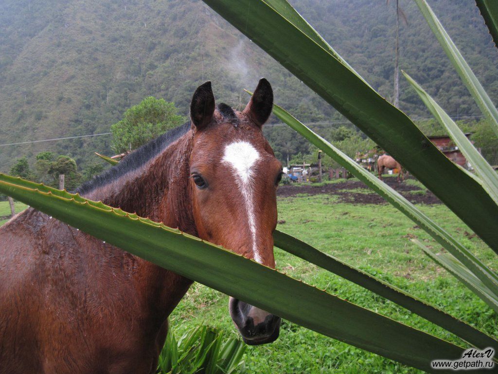 Colombia_2011-04-02_15-40-03.JPG