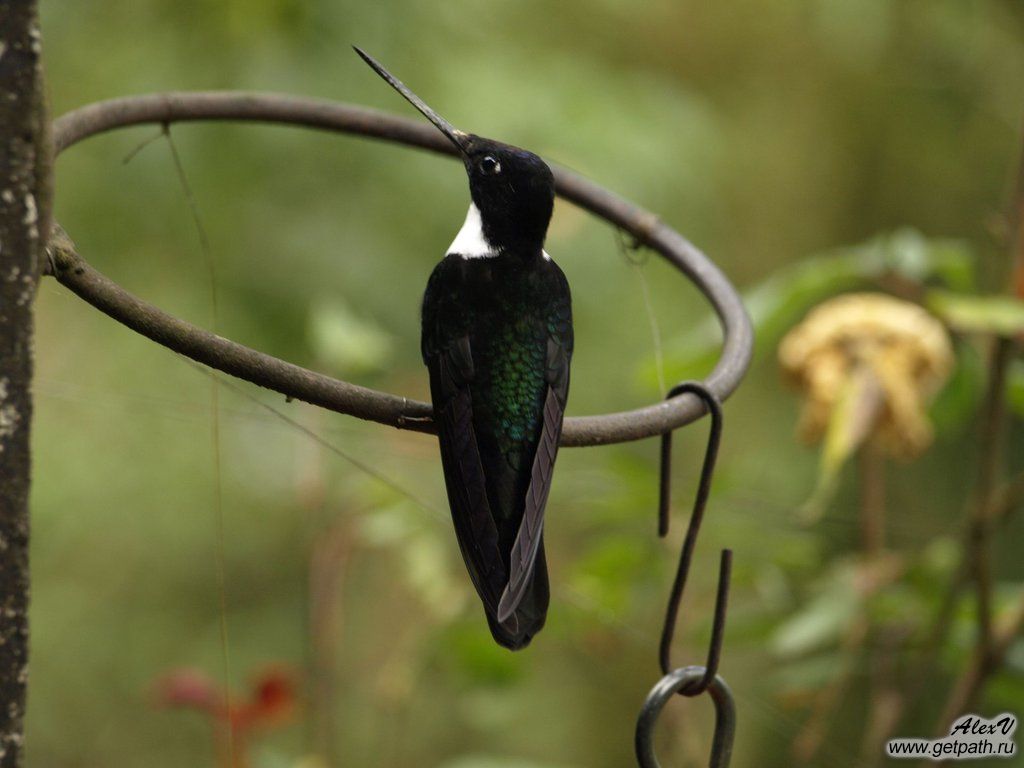 Colombia_2011-04-03_08-37-33.JPG