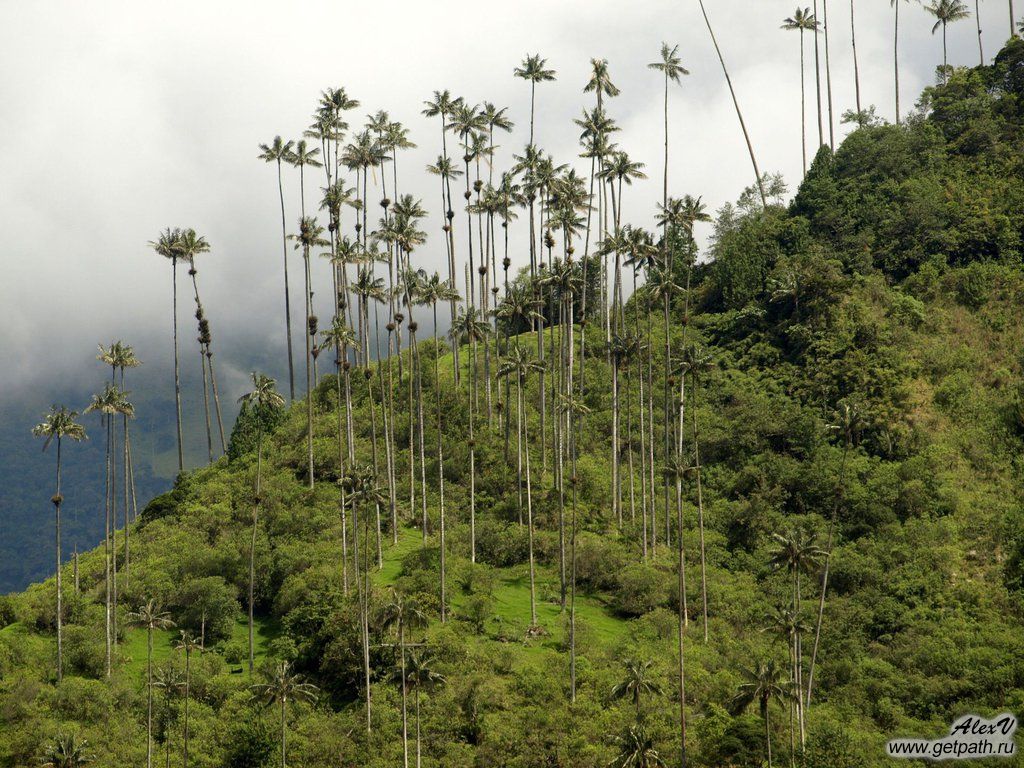 Colombia_2011-04-03_09-52-19.JPG