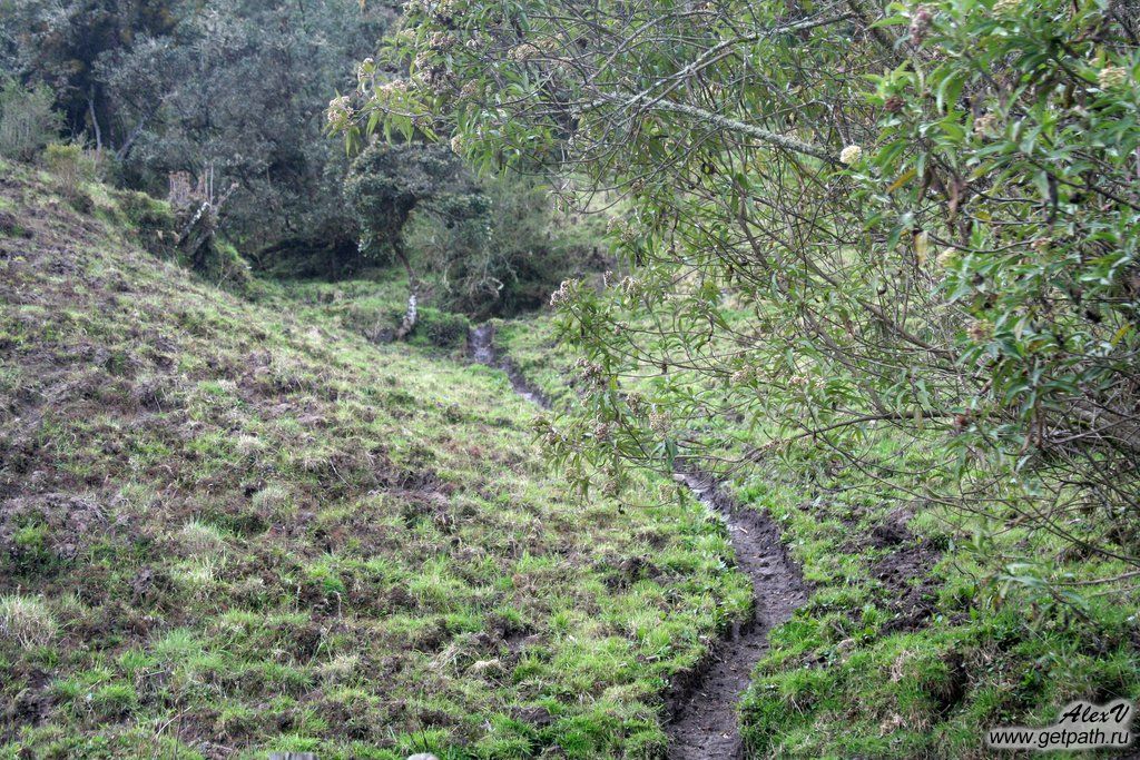 Colombia_2011-04-03_16-32-54.JPG