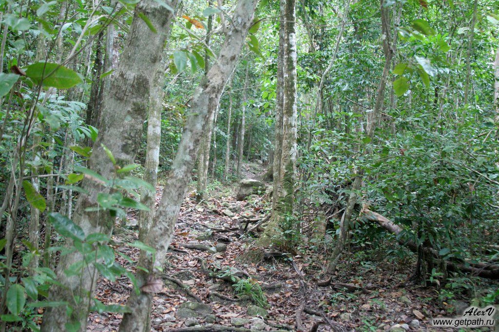 Colombia_2011-04-09_07-20-03.JPG